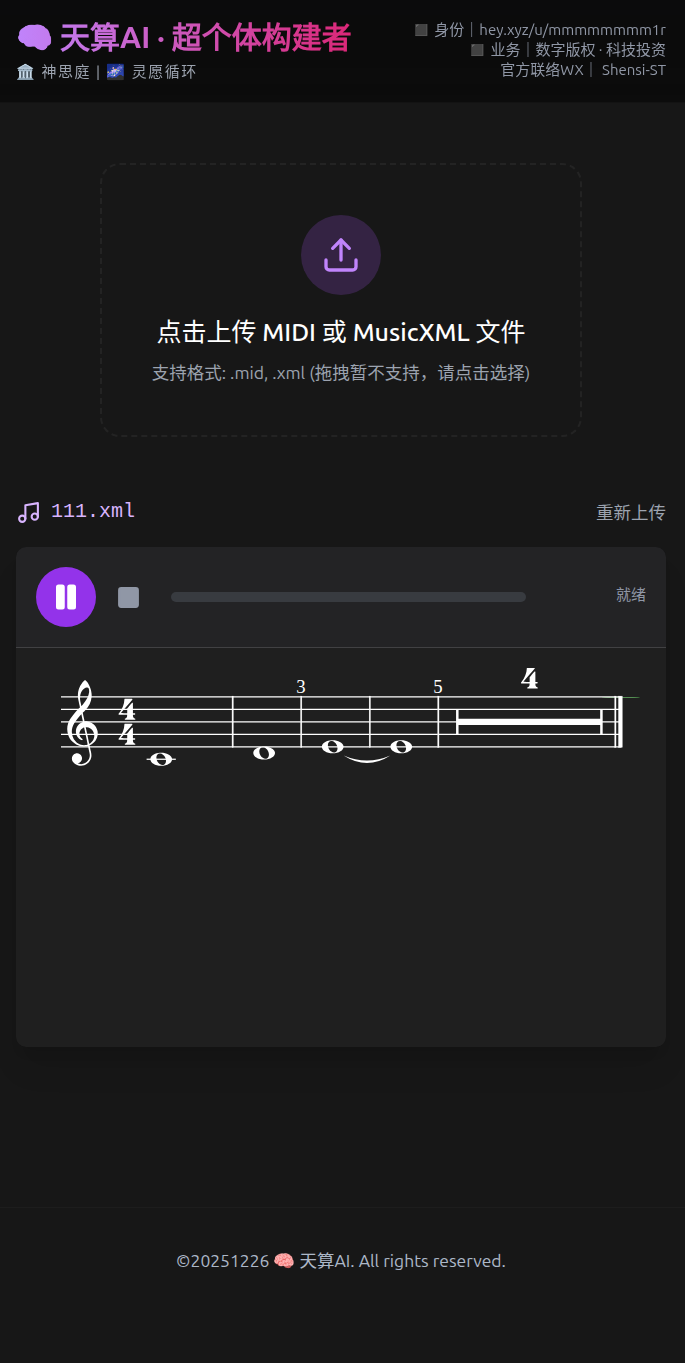 手机端播放展示